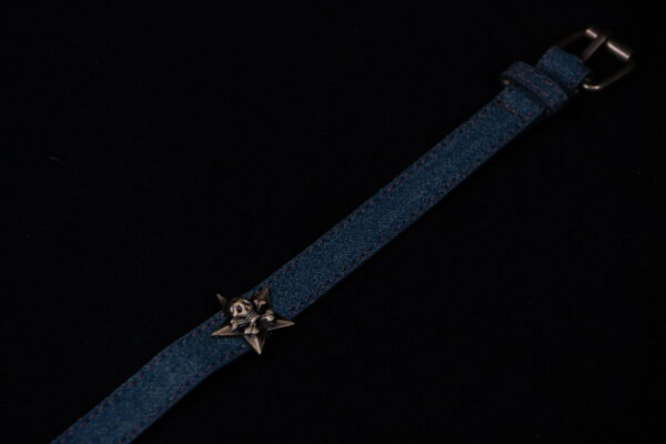 Denim Devil - Image 4