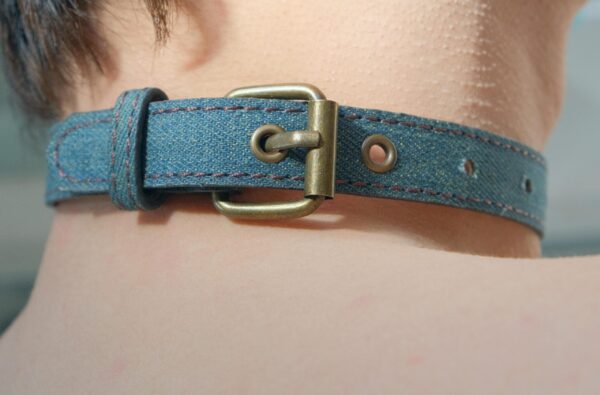 Denim Devil - Image 2