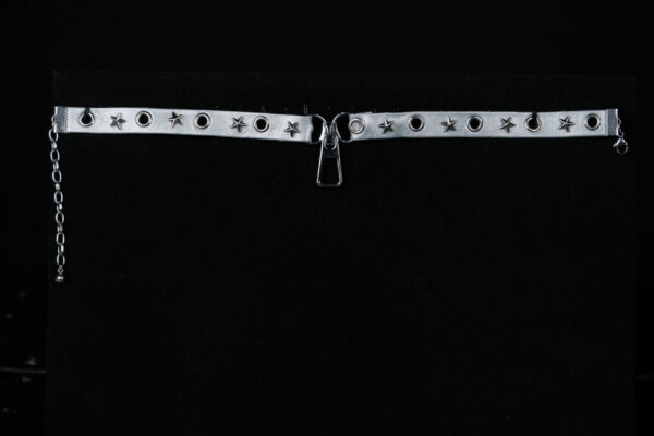 Silver Zip - Image 2